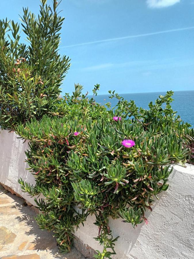 Mirabello Sea House Ágios Nikólaos Екстериор снимка
