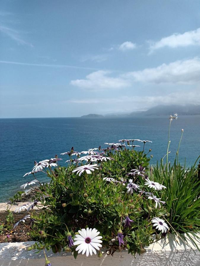 Mirabello Sea House Ágios Nikólaos Екстериор снимка